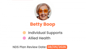Dashboard snippet from nightingale client management software with image of elderly lady and the name betty boop, with statistics about her profile